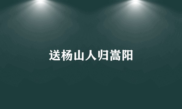 送杨山人归嵩阳