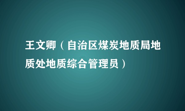 王文卿（自治区煤炭地质局地质处地质综合管理员）