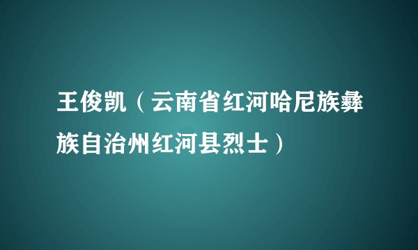 王俊凯（云南省红河哈尼族彝族自治州红河县烈士）