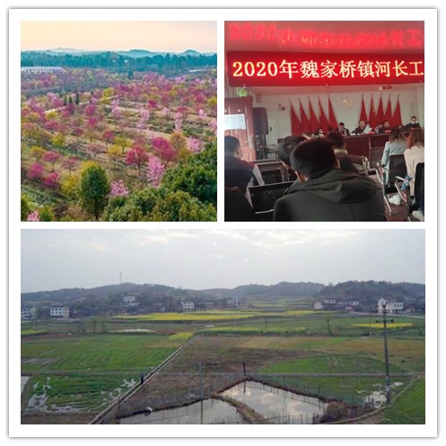 魏家桥镇(湖南省邵阳市邵东市下辖镇)