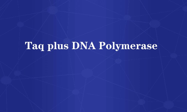 Taq plus DNA Polymerase
