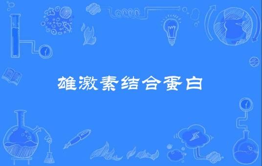 雄激素结合蛋白