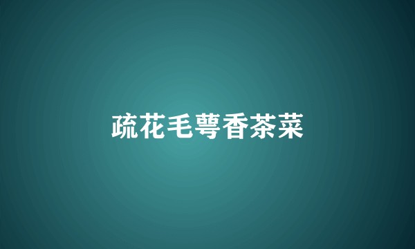 疏花毛萼香茶菜