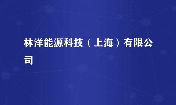 林洋能源科技（上海）有限公司
