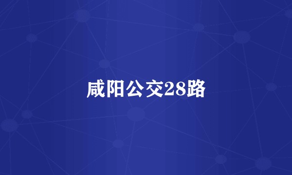 咸阳公交28路