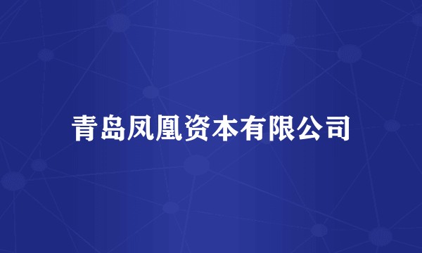 青岛凤凰资本有限公司