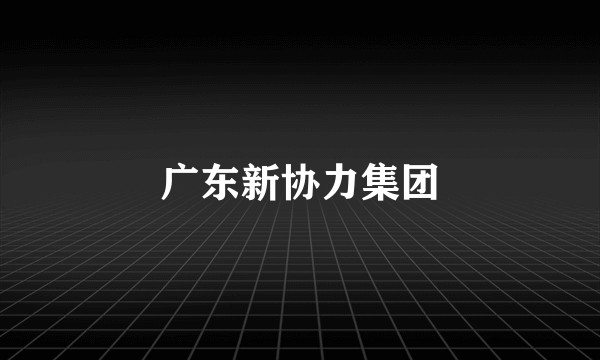 广东新协力集团