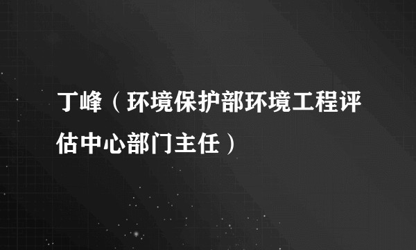 丁峰（环境保护部环境工程评估中心部门主任）
