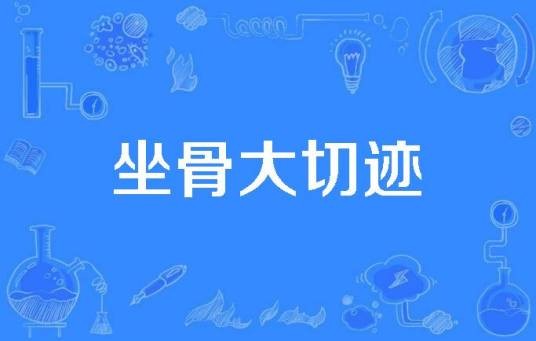 坐骨大切迹