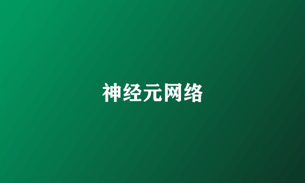 神经元网络
