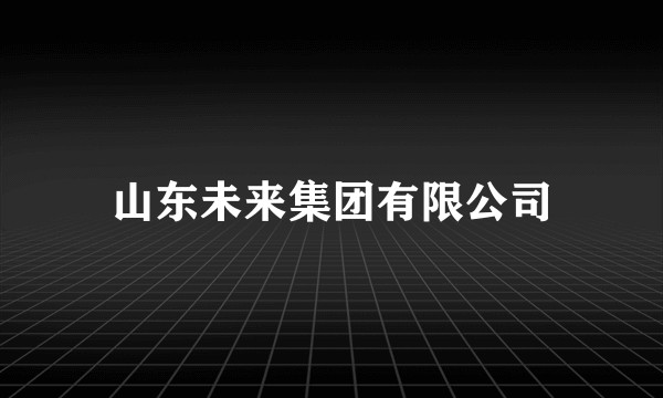 山东未来集团有限公司
