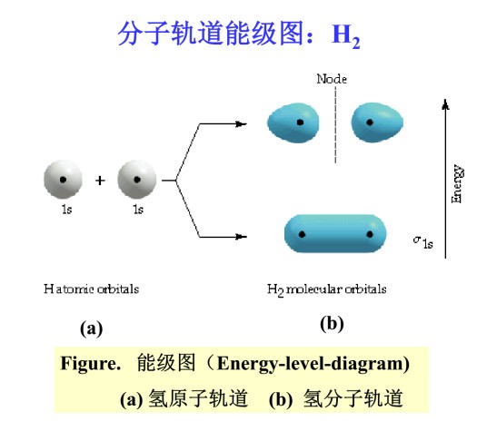 分子轨道