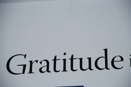 Gratitude（Jonah Matranga 演唱的歌曲）
