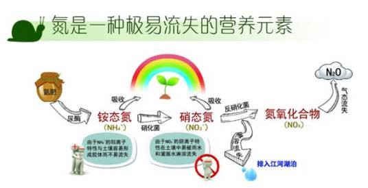 硝化抑制剂