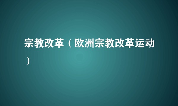 宗教改革（欧洲宗教改革运动）