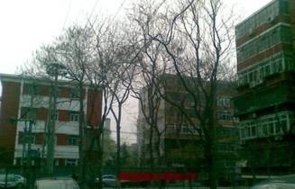 小黄庄一区