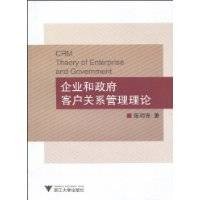 企业和政府客户关系管理理论