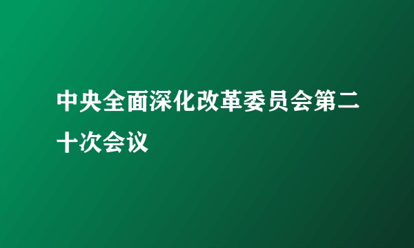 中央全面深化改革委员会第二十次会议