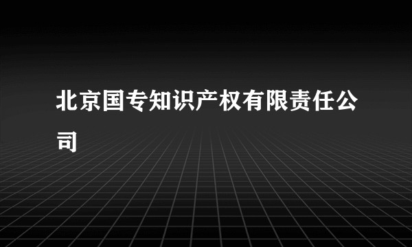 北京国专知识产权有限责任公司