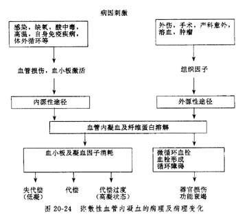 血浆硫酸鱼精蛋白副凝固试验