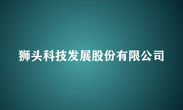 狮头科技发展股份有限公司
