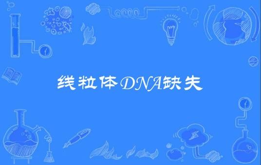 线粒体DNA缺失
