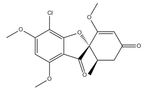 灰黄霉素