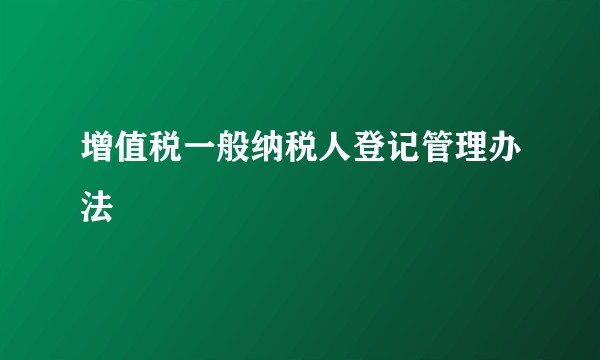 增值税一般纳税人登记管理办法