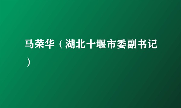 马荣华（湖北十堰市委副书记）