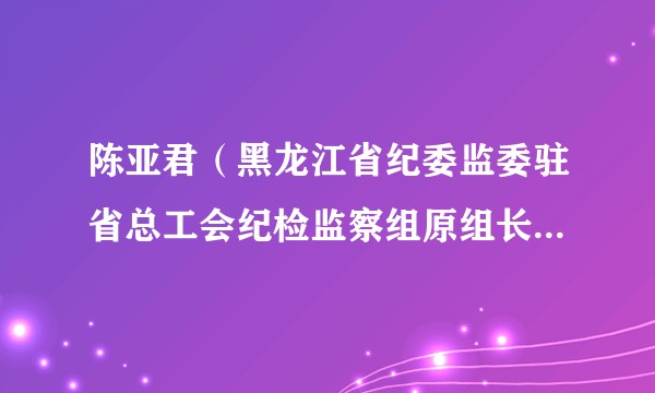 陈亚君（黑龙江省纪委监委驻省总工会纪检监察组原组长、省总工会原党组成员）