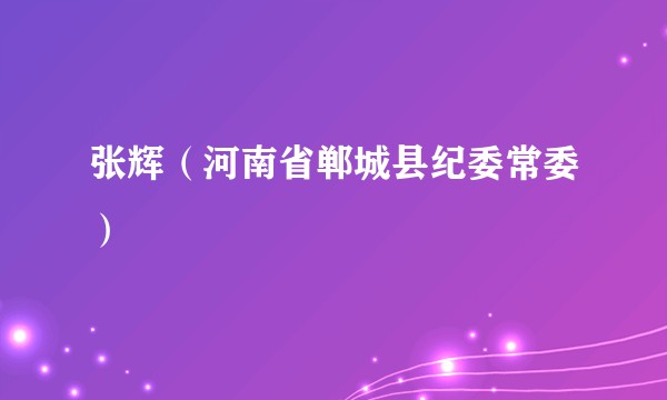张辉（河南省郸城县纪委常委）