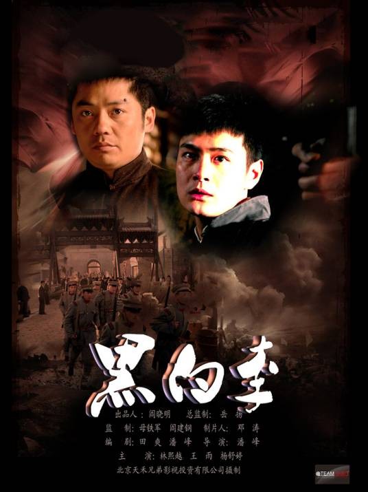 黑白李(2010年杨舒婷主演电影)