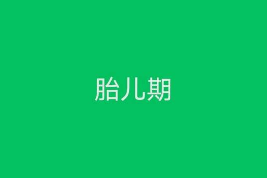 胎儿期