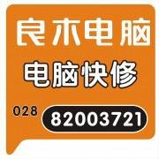 良木电脑维修服务有限公司