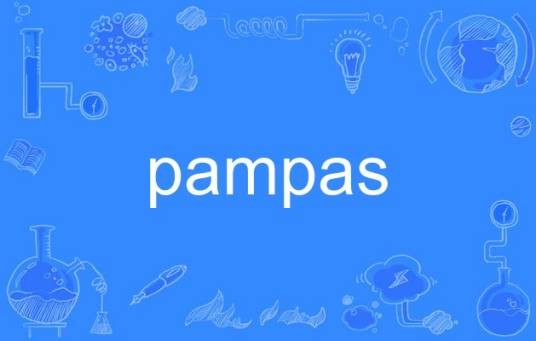 pampas