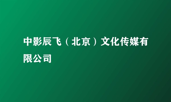 中影辰飞（北京）文化传媒有限公司