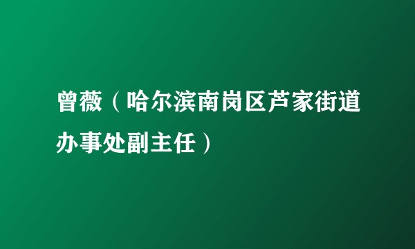 曾薇（哈尔滨南岗区芦家街道办事处副主任）