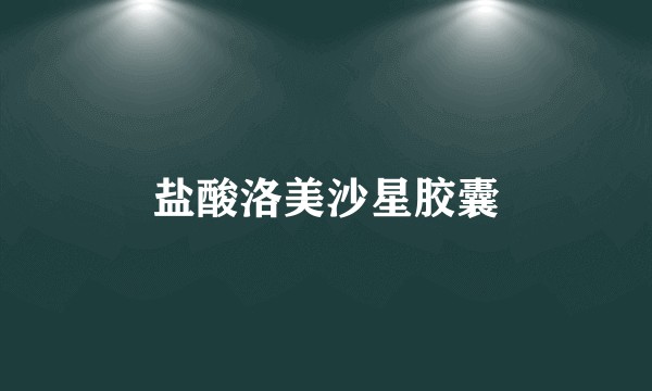 盐酸洛美沙星胶囊