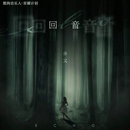 回音（余又演唱的歌曲）