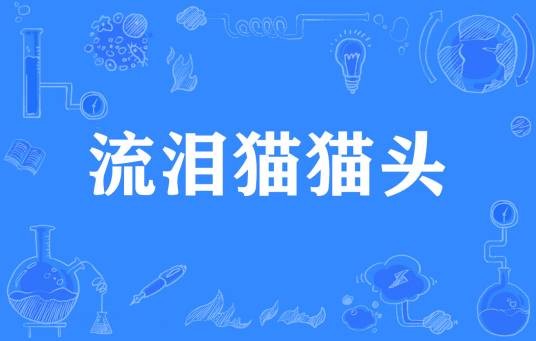流泪猫猫头