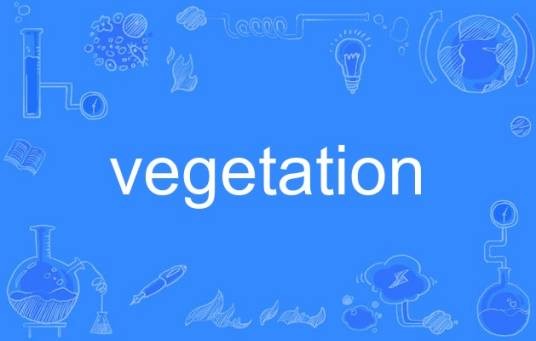 Vegetation（英语单词）