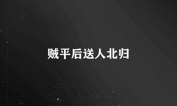 贼平后送人北归