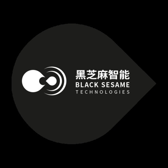 黑芝麻智能科技有限公司