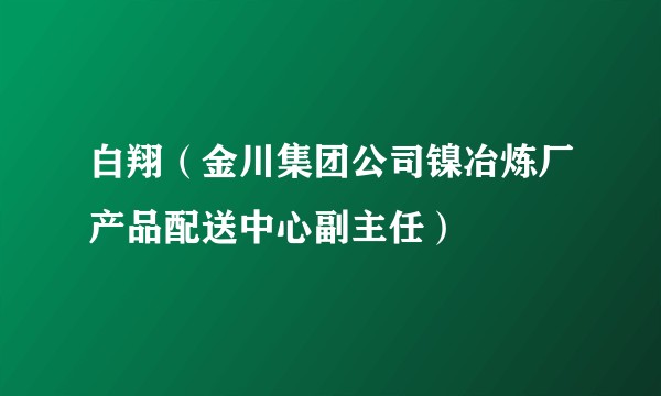 白翔（金川集团公司镍冶炼厂产品配送中心副主任）