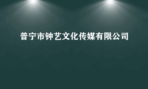 普宁市钟艺文化传媒有限公司