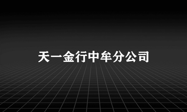 天一金行中牟分公司