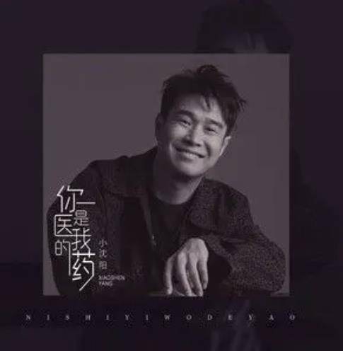 你是医我的药（小沈阳演唱的歌曲）
