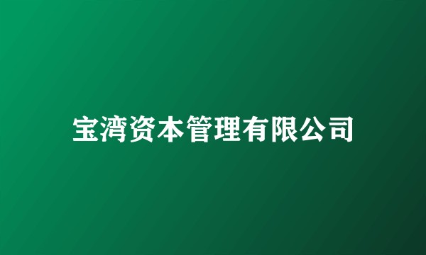 宝湾资本管理有限公司