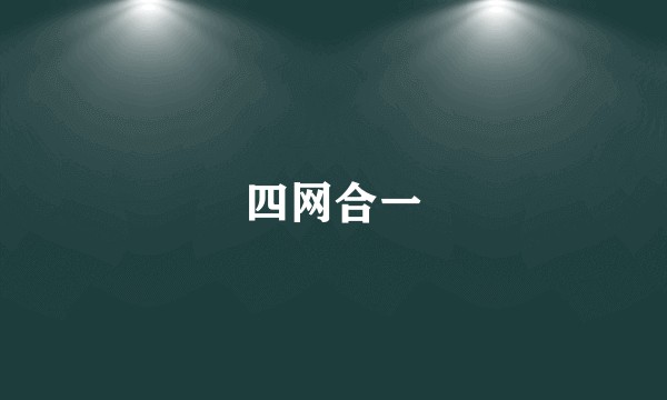 四网合一