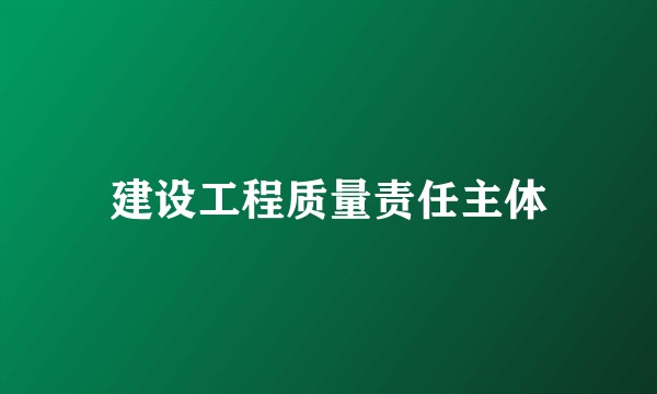 建设工程质量责任主体